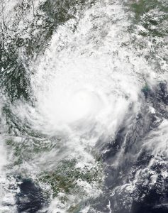 7 Ngày Tăng Cường Trí Nhớ Siêu Tốc Tại Nhà (38 Bài)