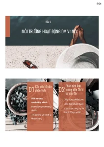 Tự Nhập Hàng Trên Các Trang Thương Mại Trung Quốc (Taobao, 1688, Tmall) (24 Bài) GV Mai Thu Hà